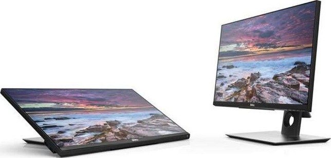 Dell Professional P2417H 23.8